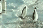 PenguinPush PenguinPush