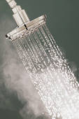 Shower Head