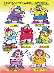 7DwarfsOfMenopause The 7 Dwarfs Of Menopause