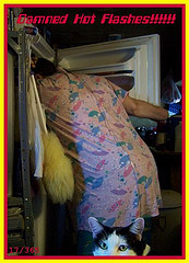 Hot Flash Fridge Lady