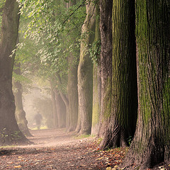 Journey to the Other Side