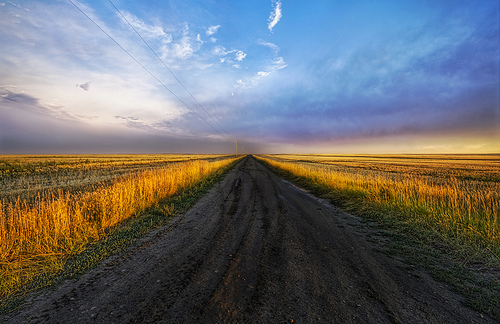 Kansas Farmland
