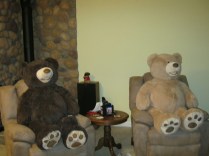 BearsWatchingTV