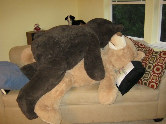 Mr. Bear Gets Frisky