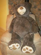 Poppa Bear with Remote