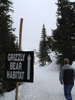 GrizzlyHabitat