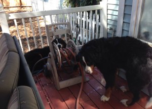 MommaAndChild-OutHeat