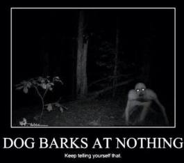 DogBarksAtNothing